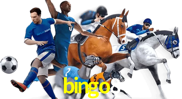 bingo8