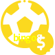 Aposte em esportes do mundo todo no bingo8!